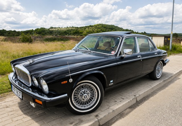 jaguar