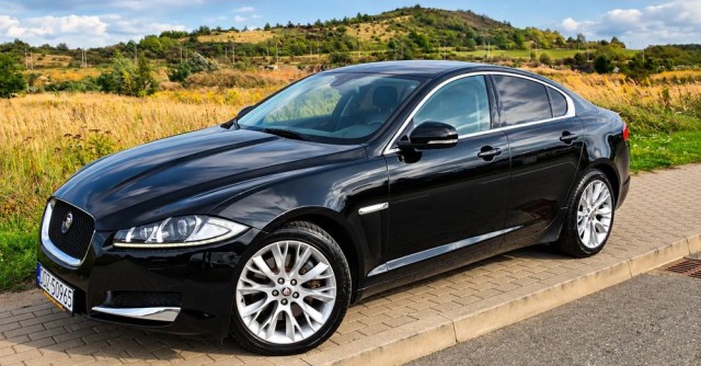 jaguar